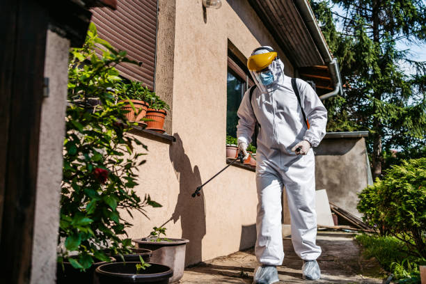 Professional Pest Control in Hackensack, NJ