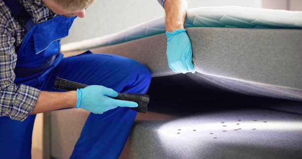 Best Pest Control Near Me  in Hackensack, NJ