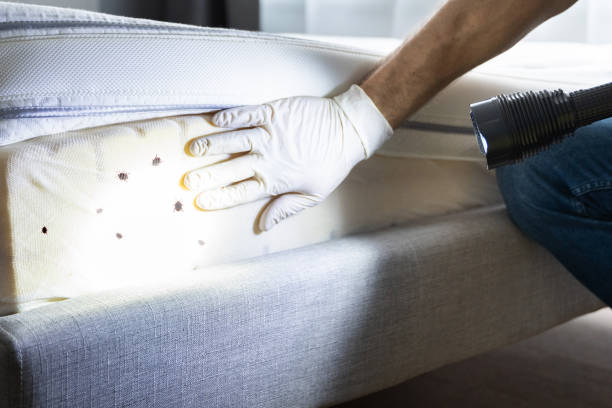 Best Affordable Pest Control Services  in Hackensack, NJ