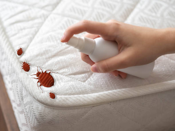Best Best Pest Control Companies  in Hackensack, NJ